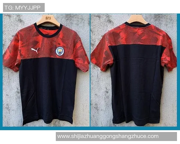 便宜足球球星T恤价格区间分析与购买建议