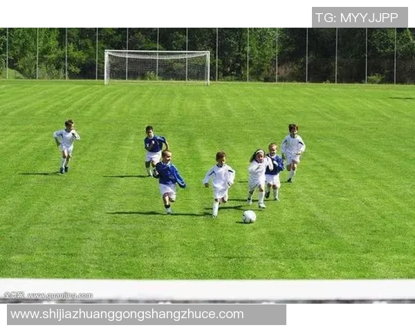 全球足球巨星风采全景图集，领略足坛传奇与现役天王的精彩瞬间